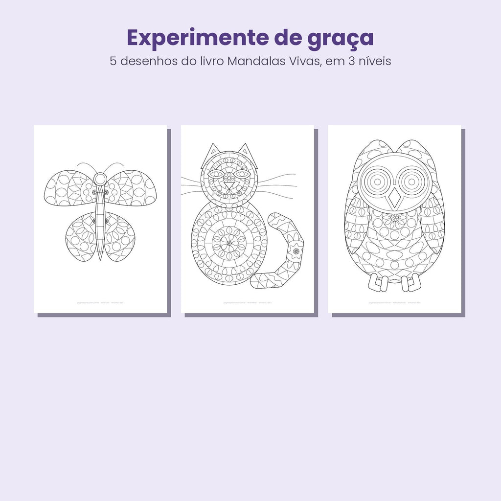 Três mandalas para colorir grátis nos níveis fácil, médio e detalhado