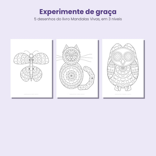Três mandalas para colorir grátis nos níveis fácil, médio e detalhado